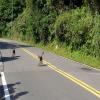 Motorcycle Road taiwan-north-coast-- photo